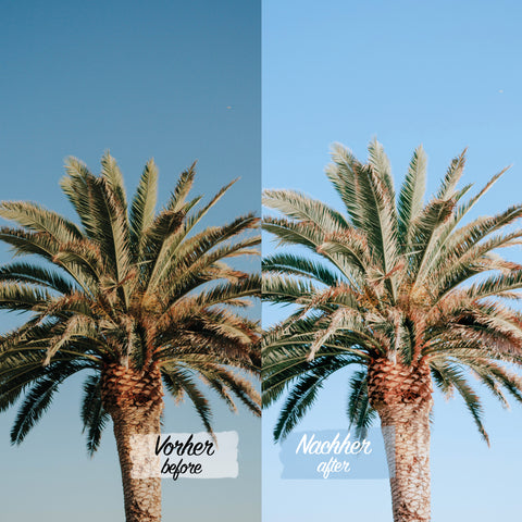 SUMMER PACK - 40 Presets für Lightroom