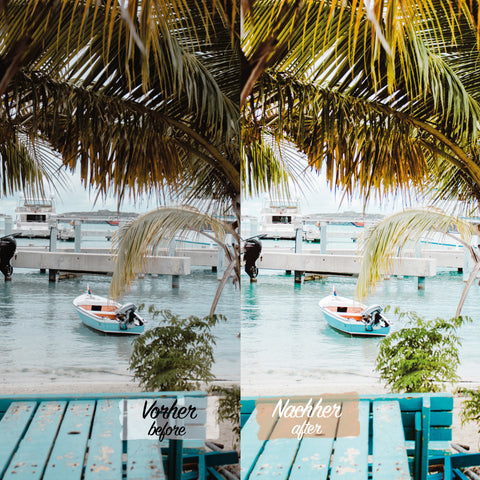 SUMMER PACK - 40 Presets für Lightroom