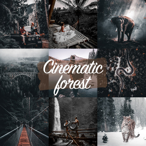 CINEMATIC FOREST Preset für Lightroom