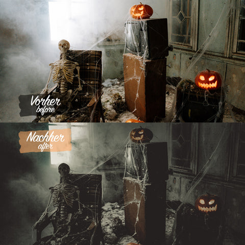 HALLOWEEN Preset für Lightroom