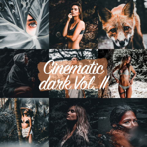 CINEMATIC DARK VOL. II Preset for Lightroom