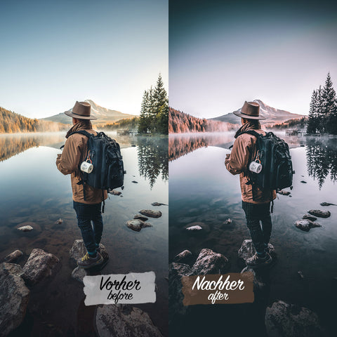 CINEMATIC FORREST Preset for Lightroom