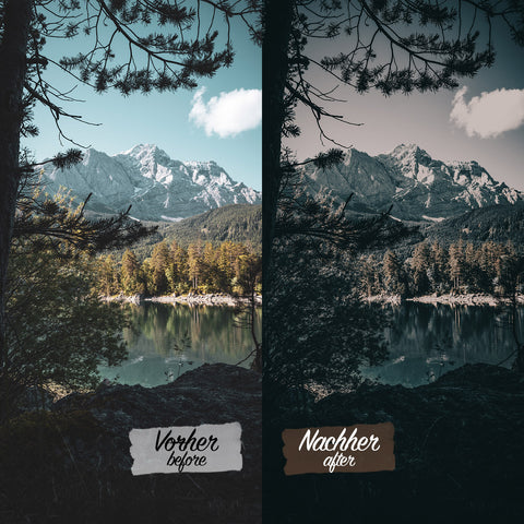 CINEMATIC FOREST Preset für Lightroom