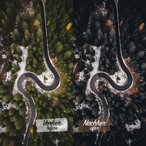 CINEMATIC FORREST Preset for Lightroom