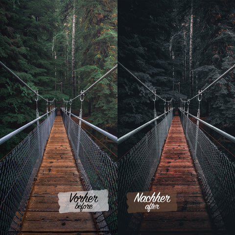 CINEMATIC FORREST Preset for Lightroom