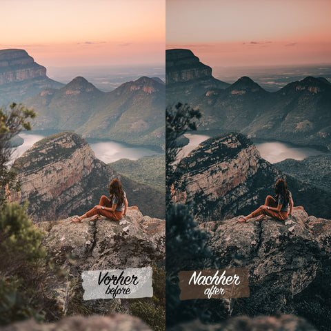 CINEMATIC FORREST Preset for Lightroom