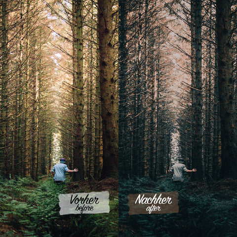 CINEMATIC FORREST Preset for Lightroom