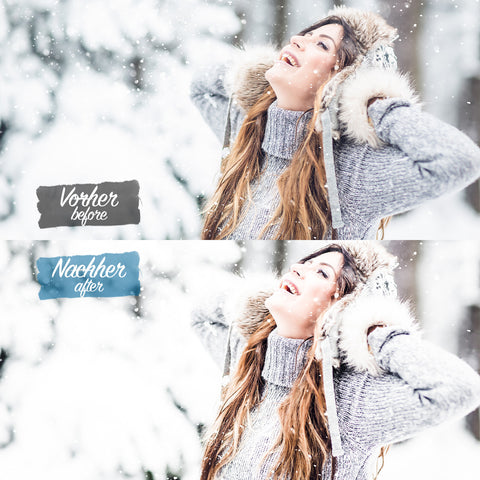 FREEZY WINTER Preset for Lightroom