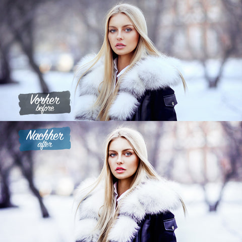 FREEZY WINTER Preset for Lightroom