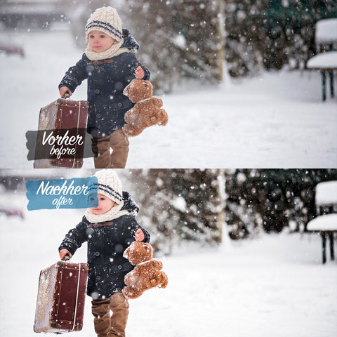 FREEZY WINTER Preset for Lightroom