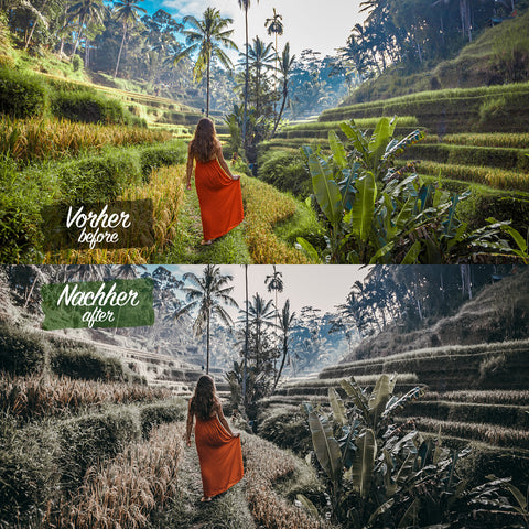 INSTA PACK - 34 Lightroom Presets