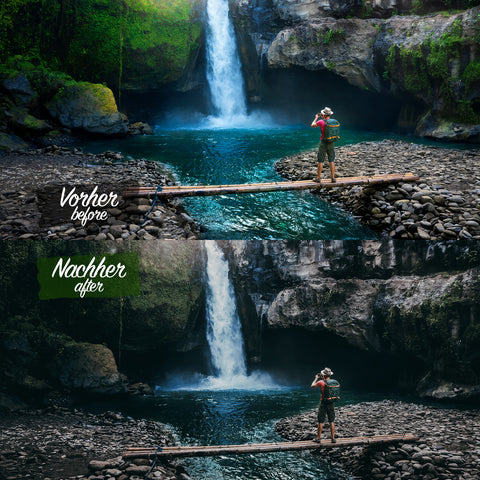 JUNGLE MOOD Preset for Lightroom