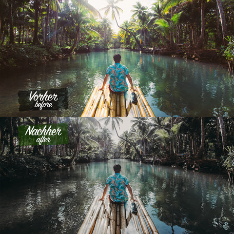 JUNGLE MOOD Preset for Lightroom