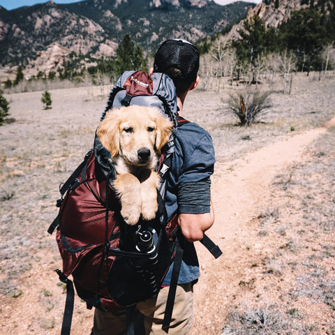 ROADTRIP Preset for Lightroom