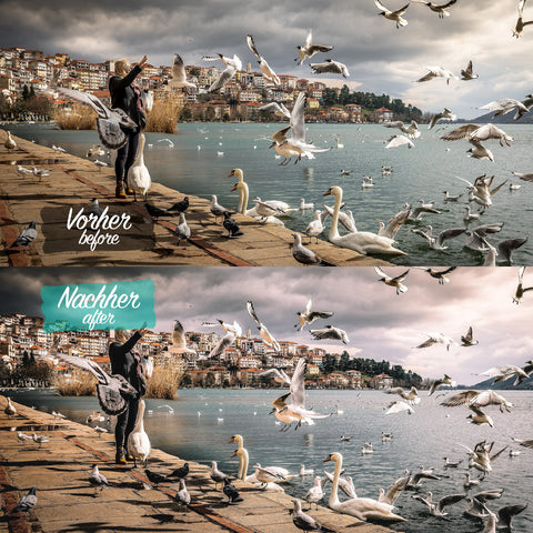 ROADTRIP Preset for Lightroom